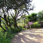 Feriehus A Altezza Palombaggia Porto-Vecchio (Corsica)