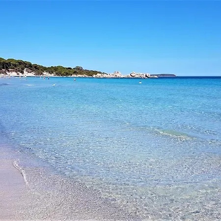A Altezza Palombaggia بيت للعطل