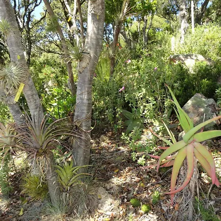 Дом отдыха A Altezza Palombaggia