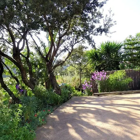 Prázdninový dům A Altezza Palombaggia Porto-Vecchio (Corsica)