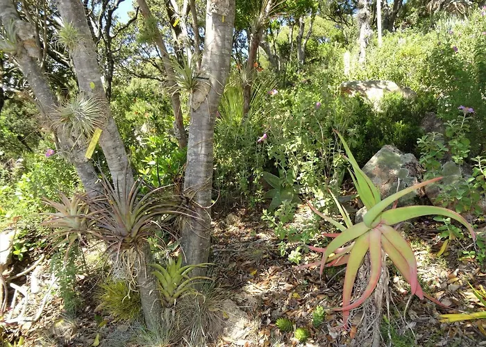 度假居 A Altezza Palombaggia