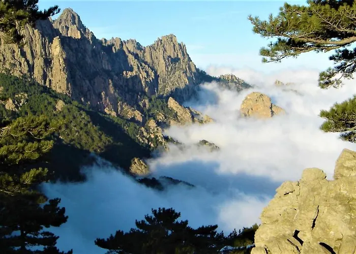 度假居 A Altezza Palombaggia *